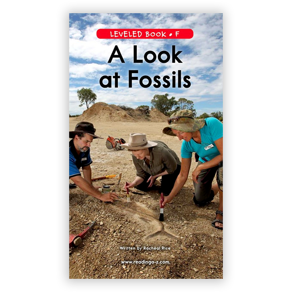 A Look At Fossils