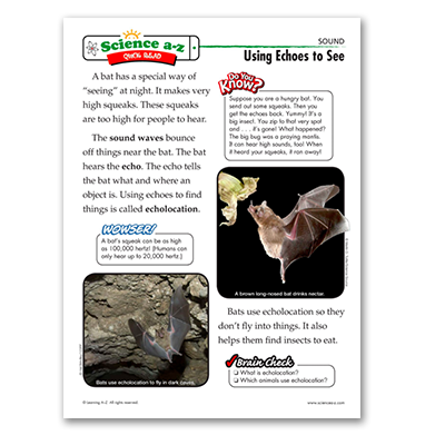Science A-Z bats themed Quick Read