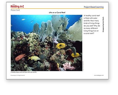 Coral Reef Project-Based Learning Pack in Raz-Plus
