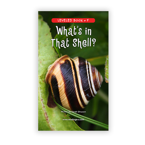 What’s in That Shell?