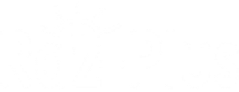Raz-Plus Logo