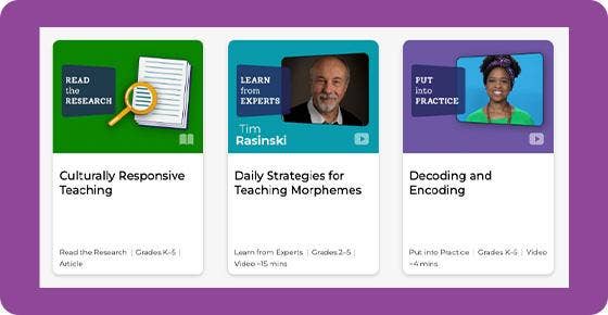 Embedded Professional Development
