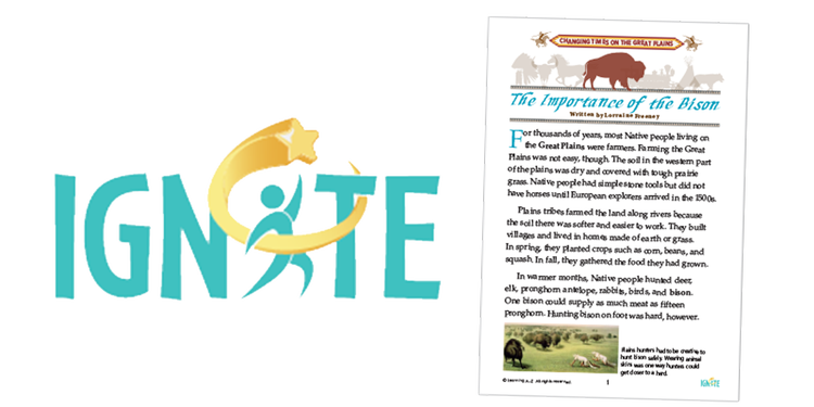 Support Struggling Readers With High/Low Text Sets