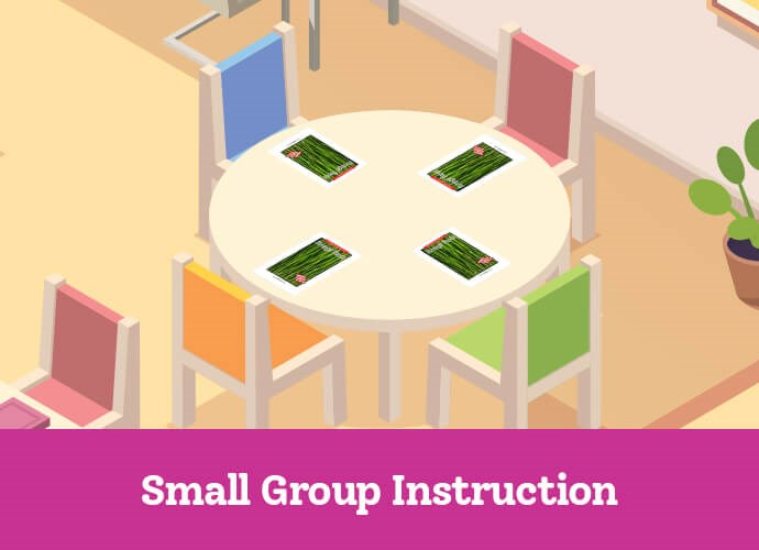 Small Group Instruction