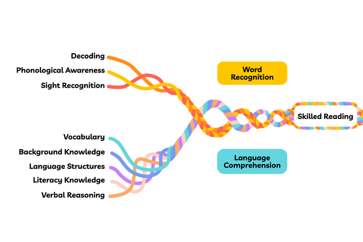 Science of Reading support