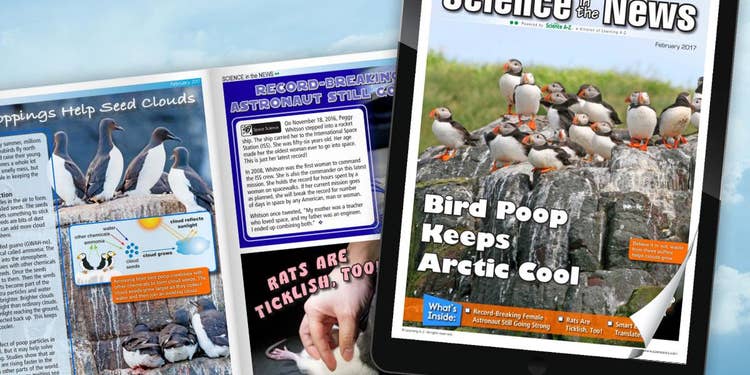 Science in the News - Feb 2017