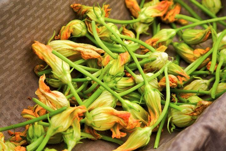 pumpkin flowers