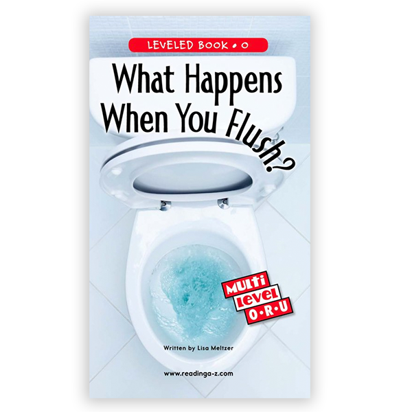 What Happens When You Flush?