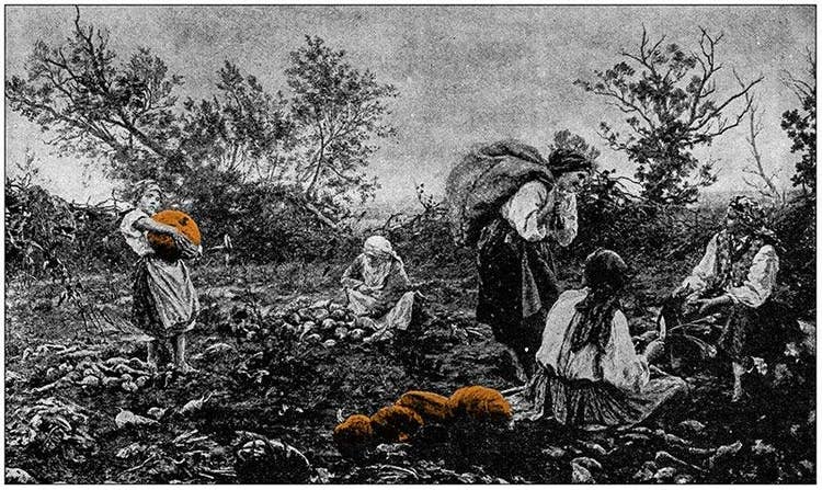 history of pumpkins
