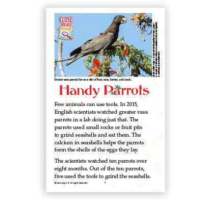Handy Parrots