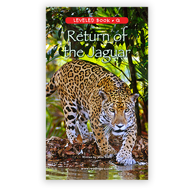 Return of the Jaguar