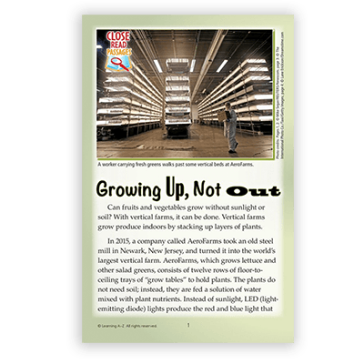 Growing Up, Not Out