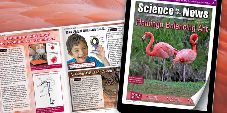September 2017 Science in the News