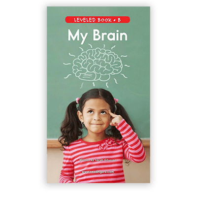 My Brain