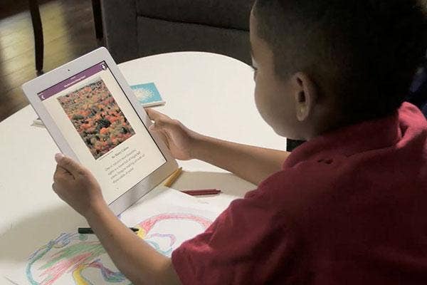 at-home-reading-instruction