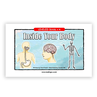 Inside Your Body