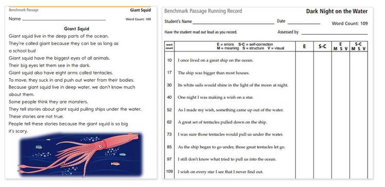 Benchmark Passage Running Record