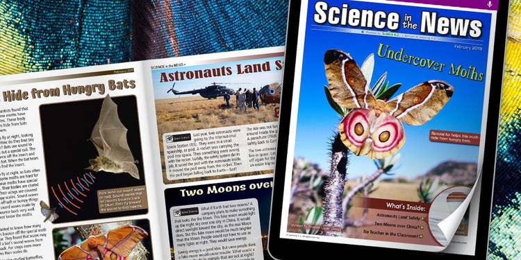 Science in the News for February 2019