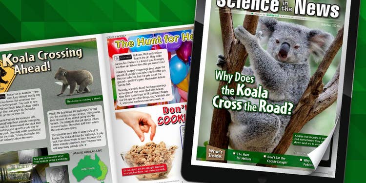 Explore the October Issue of Science in the News