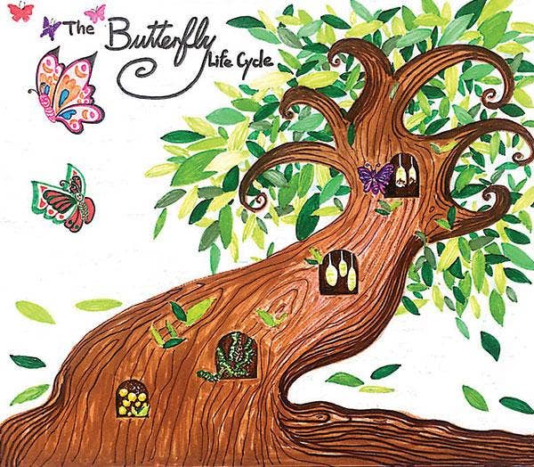 The Butterfly Life Cycle