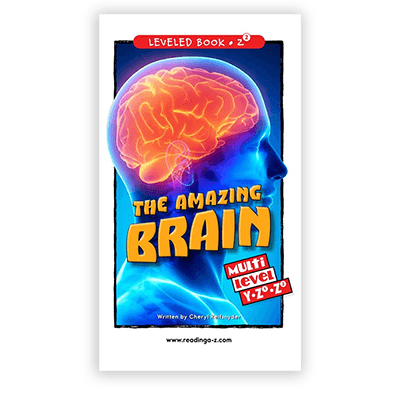 The Amazing Brain