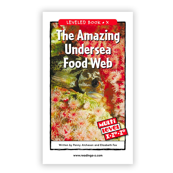 The Amazing Undersea Food Web