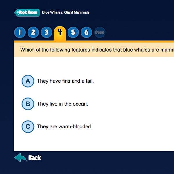 teacher led instructions