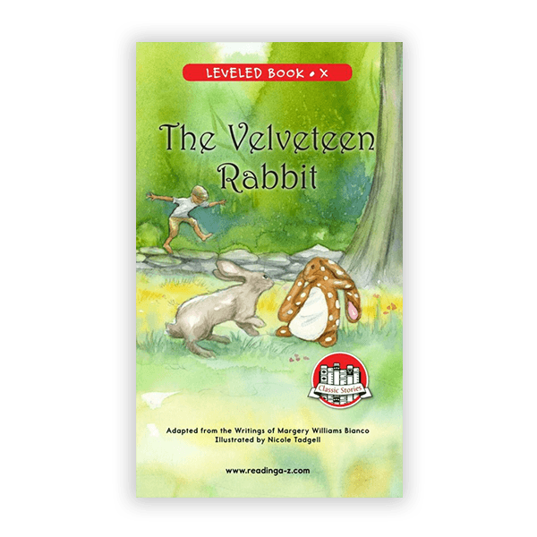 The Velveteen Rabbit