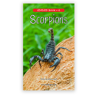 Scorpions