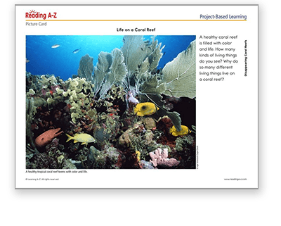 Coral Reef Project-Based Learning Pack in Raz-Plus