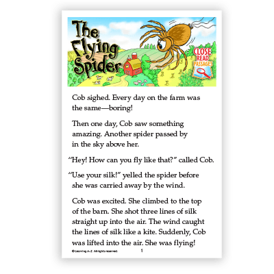 The Flying Spider