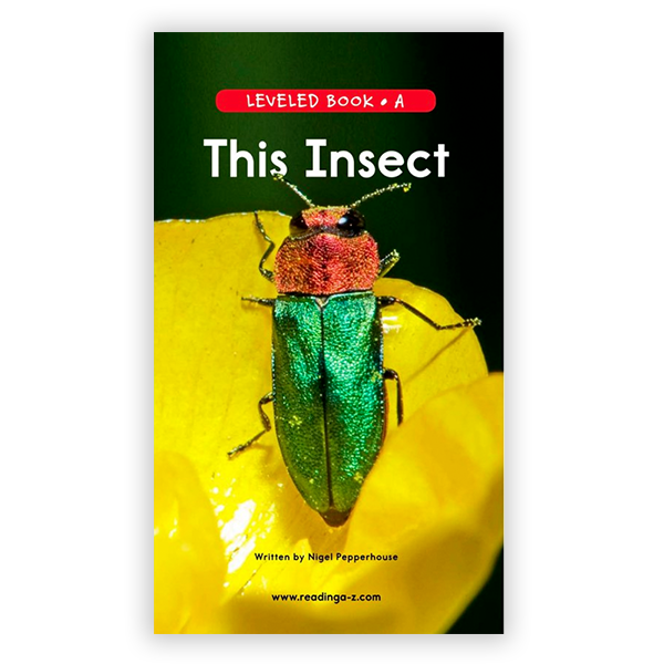 This Insect