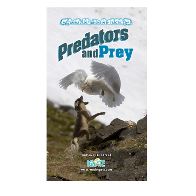 Animal Adaptations in the Arctic