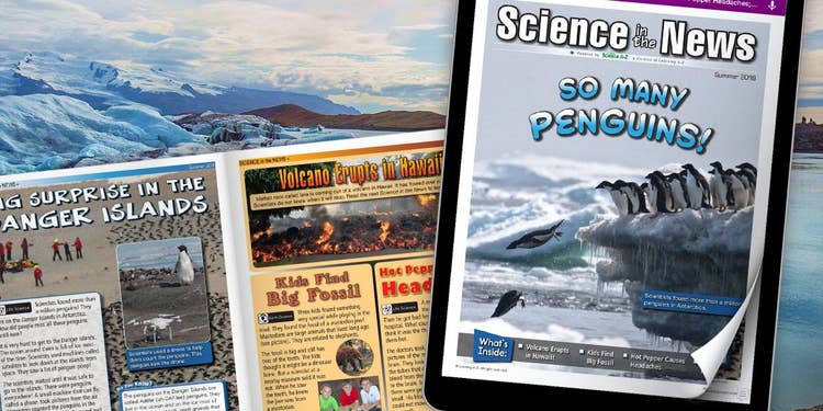 July 2018 Issue of Science in the News