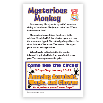 Mysterious Monkey