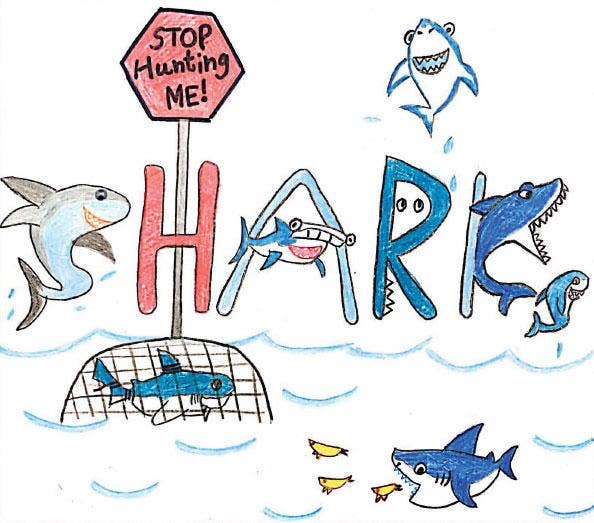 Sharks