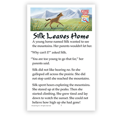 Silk Leaves Home