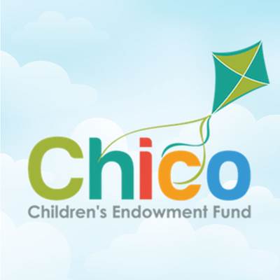Chico Children’s Endowment Grant Application