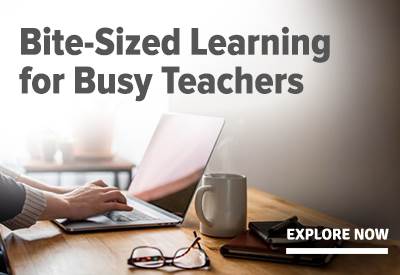 Bite Sized Learning for Busy Teachers