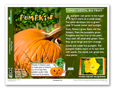 Pumpkin iFile Science A-Z